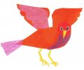 red bird flashcard