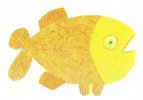 goldfish flcard
